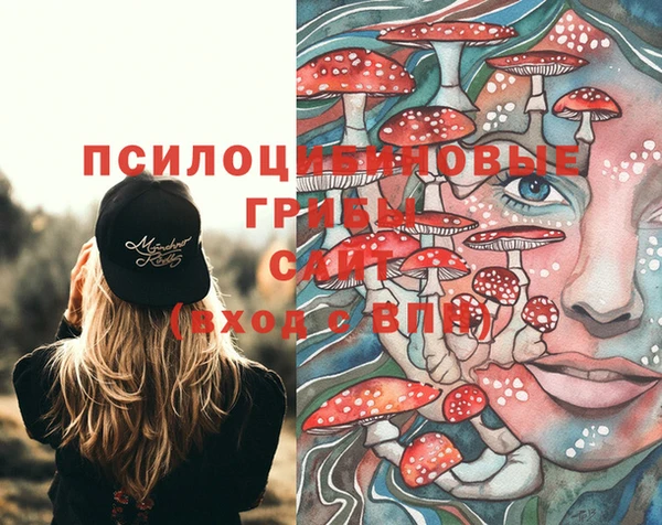 ALPHA PVP Нефтегорск