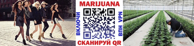 Канабис AK-47  Купить где  Лесной 